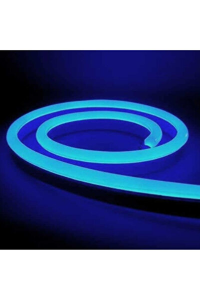 Cata 25 METRE CATA CT 4455 12V Neon Led Hortum Mavi