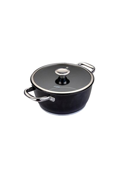 Aryıldız وعاء طهي عصري من إنديكشن بريستيج مقاس 24*12 سم باللون الأسود