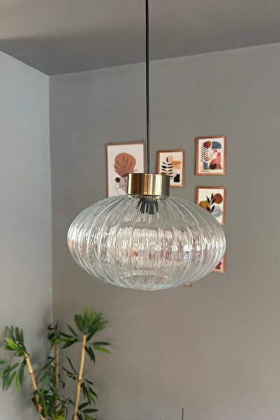 Bamyum Elegant Şeffaf Cam Tekli Avize Plafonyer Rozans Başlık Sarkıt Lamba Restoran Salon Aydınlatma