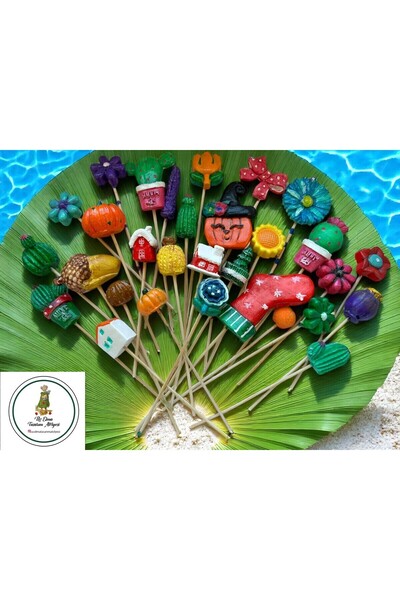 tasarımhikayecisi SAKSI DİBİ SÜSÜ TAŞ BOYAMA SETİ-30 ADET-SUKULENT -BAHÇE-ÇİÇ...