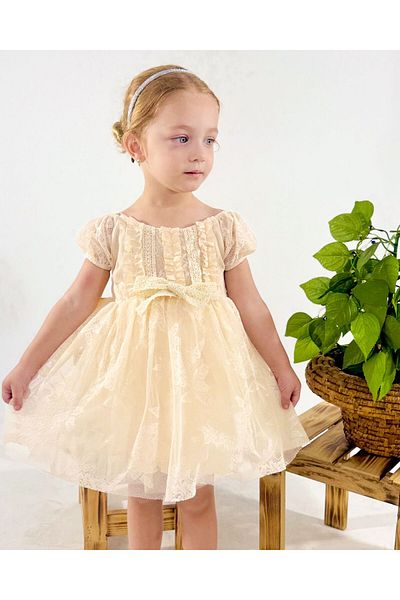 aysskids Magnolia Girl's Princess Tutu Wedding Birthday Special Occasion Dress