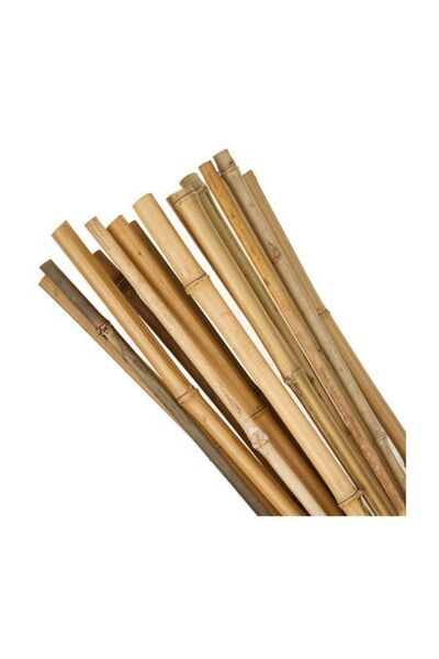 Bambu Fidan Destek Çubuğu Kamış 200 Cm 10 Adet
