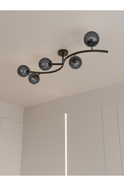 avizade NORİA Modern Siyah Metal Gövdeli 5’li Füme Cam Küre Avize | Tavan Ayd...
