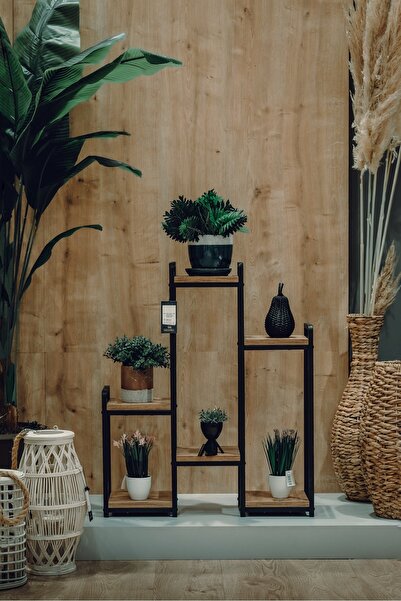 TOPRAK E-TİCARET Metal Garden 6 Raflı Ahşap Saksılık İç ve Dış Mekan Dekorati...