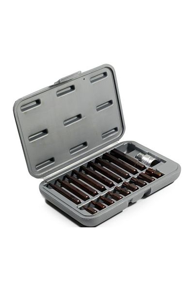 Rico 19 Piece Coated Drilled Torx Bits Set 0003