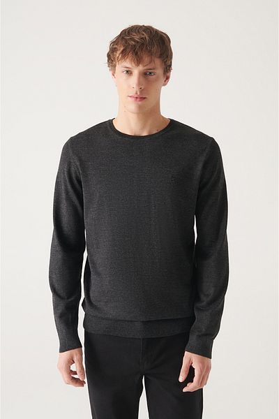Avva Men's Anthracite Crew Neck Wool Blended Knitwear Sweater E 005013