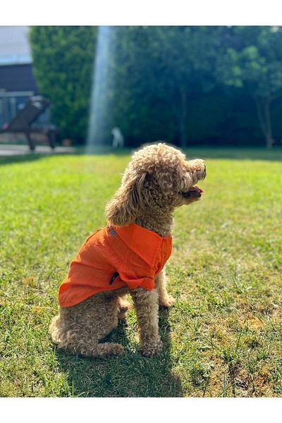 salya store Summer Linen Dog Shirt, Orange