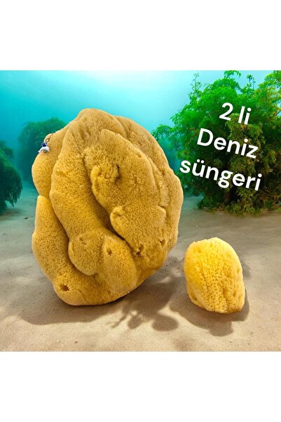 ASLANCAN Doğal deniz süngeri (büyük-küçük)