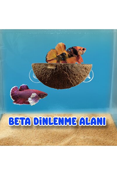 MDİZMİR Beta Dinlenme Alanı Ayalarnabilir Dinleme Alanı Beta , Kaplumbaga , L...