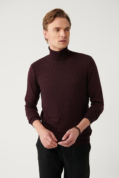 Avva Pulover pentru bărbați, roșu Claret, din bumbac, cu model, tricotaj A32y5198