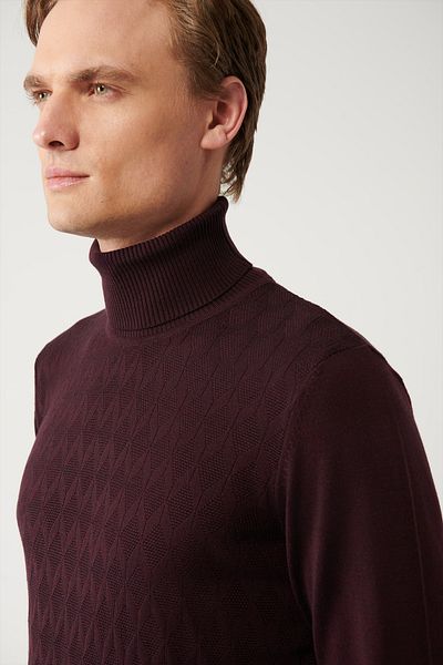 Avva Pulover pentru bărbați, roșu Claret, din bumbac, cu model, tricotaj A32y5198