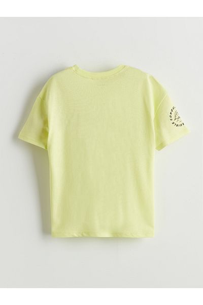LC Waikiki Crew Neck Printed Boy's T-Shirt