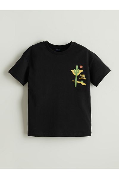 LC Waikiki Crew Neck Boy's T-Shirt
