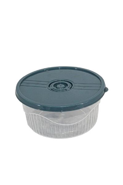 rexa Colored lid transparent food container