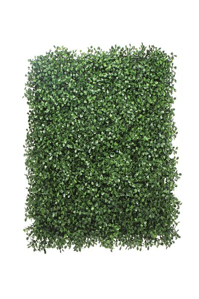 SERENE Durable and Realistic Looking Artificial Hedge in Boxwood