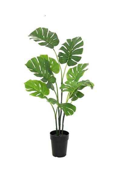 SERENE Beautiful Life-Like Artificial Monstera Plant