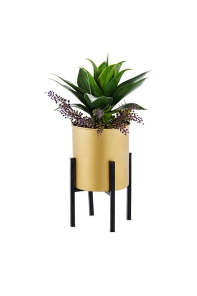 HomeVibes Compoziție florală CACTERO