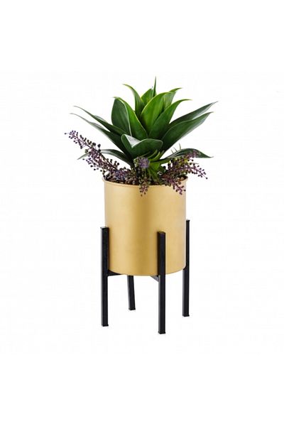 HomeVibes Compoziție florală CACTERO