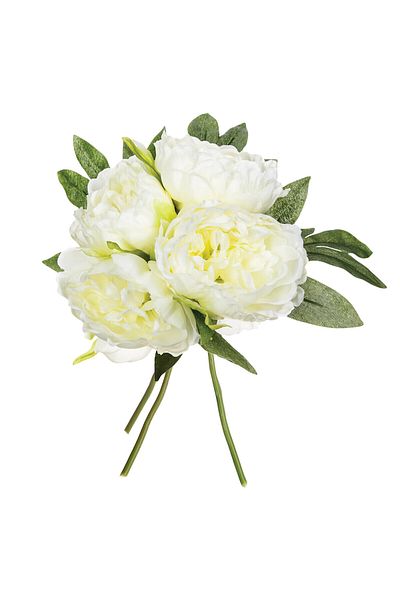 HomeVibes Buchet bujori
