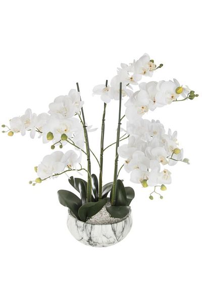 HomeVibes Flori decorative Orhidee