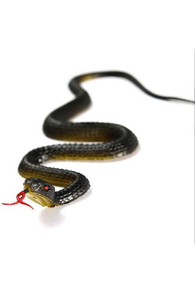 Choice 45cm Fake Realistic Rubber Toy Snake Simulation Anaconda Scary Halloween To Scare Birds Props Pra...