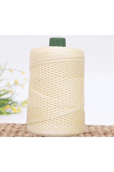 Choice حبل منسوج ملتوي ملون باللون الأبيض الحليبي مقاس 3 مم، خيط مجوف، صناعة ...