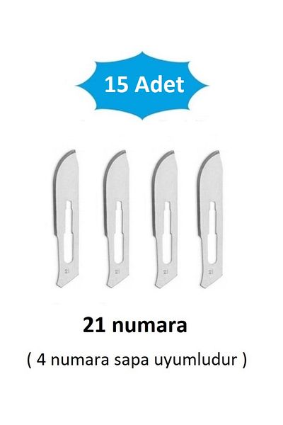 QBR Home Pack of 15 Number 21 Wooden Sculpture Carving Art Replacement Blade. Plug-In Type (Compatible with Sapa Number 4)