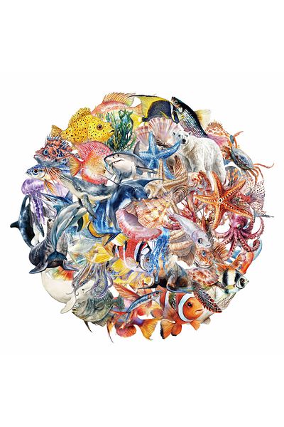 Choice 50PCS 50PCS Marine Life Decorative Stickers Handbooks Personalized Computer Phone Cases Stickers Gar