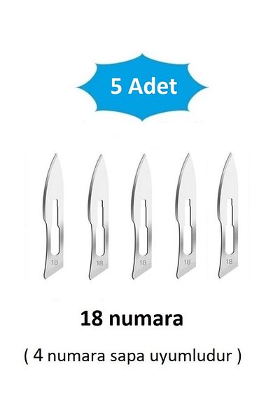 QBR Home Pack of 5 18 Number Wooden Sculpture Carving Art Replacement Blade. Plug-In Type (Compatible with Sapa Number 4)