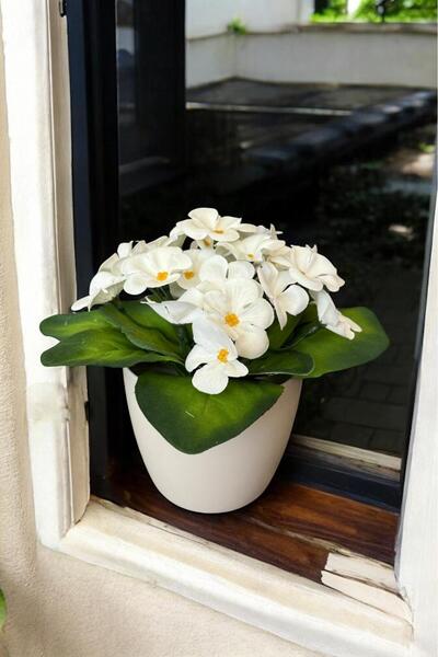 YAPAY ÇİÇEKÇİNİZ BEYAZ RENKLİ SAKSIDA CANLI RENKLİ GERÇEK DOKULU YAPAY MENEKŞE