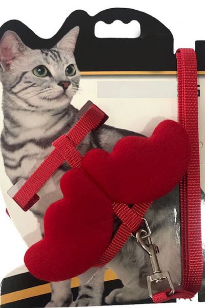 AlaPet Angel Cat Collar (Cat and Dog) Travel Collar