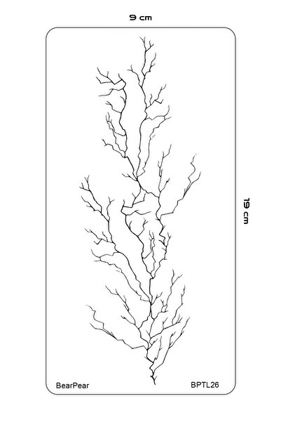 BP Tattoo Şimşek Dövmesi Yıldırım Dövmesi Damar Dövmesi