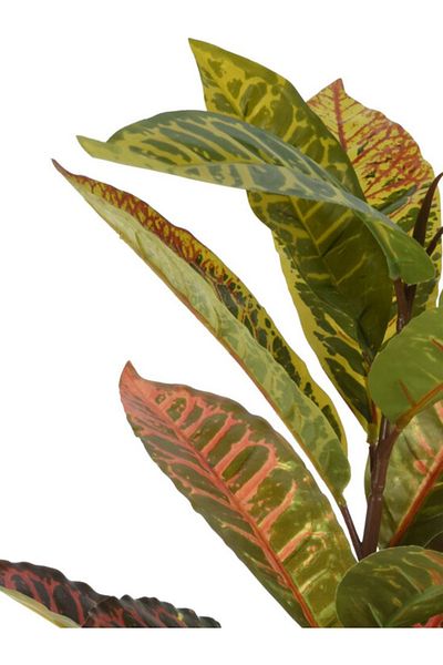 Koopman Artificial Calathea plant, Azay Design, colorful leaves, in black plastic pot, H 65 cm