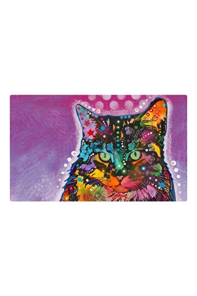 Drymate Mats For Cats 13 12 x 20 Inch / 30 x 50 cm