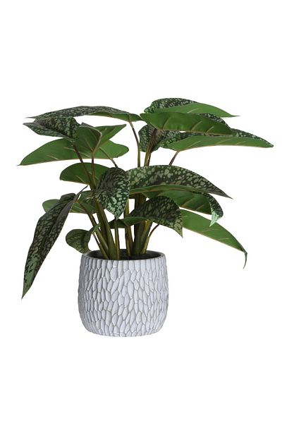 Koopman Artificial green Syngonium plant, Azay Design, in gray cement pot with pattern H 39cm