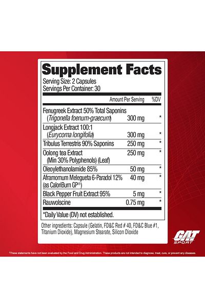 GAT SPORT تيسترول فاير، 60 قرصًا، 30 حصة
