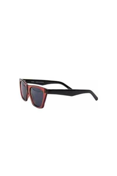 EVOKE Havana 52Ekt C.08 Women's Polarized Sunglasses