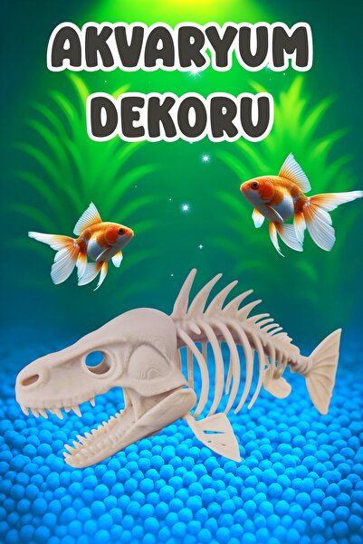 MDİZMİR Akvaryum Dekoru ꩜ Balık ꩜ Fanus, Küçük Akvaryum ve Büyük Akvaryum Uyg...