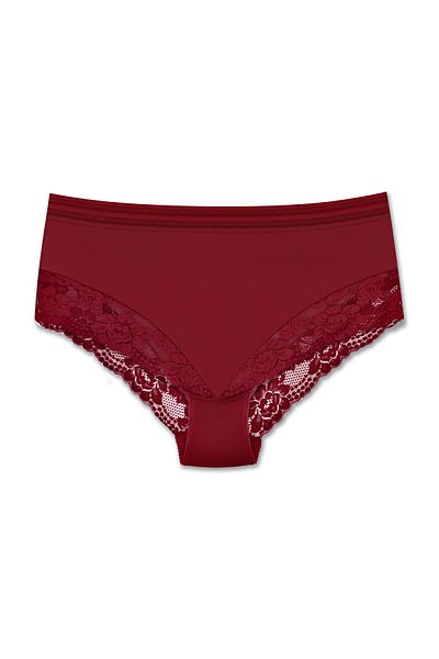 ZENA UNDERWEAR 3-Piece Tulle and Lace Detailed Elastic High Waist Large Size Women's Panties