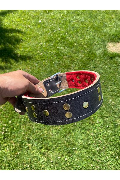 Sürmeli Tasma Leather Dog Collar 78 cm 100% Genuine Buffalo Leather