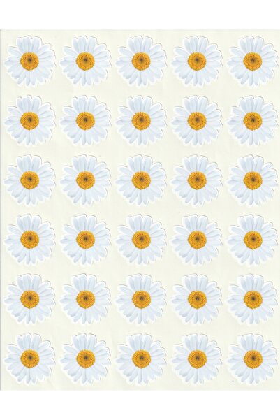 NUNUKİ Beyaz Papatyalar Sticker Seti 3,2 cm Spring Daisies Daisy Stickers Bah...