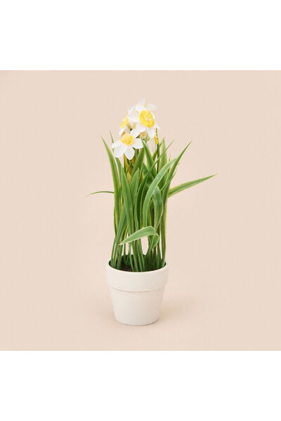 MATMEL زهرة الربيع - متنوعة - 6x5 سم