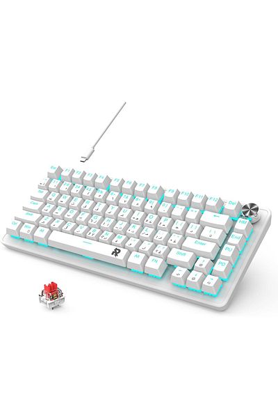 ROCK POW 70% Gaming Keyboard, Arabic English 82 Keys Mechanical Keyboard with Ice Blue Backlit 19 Mo