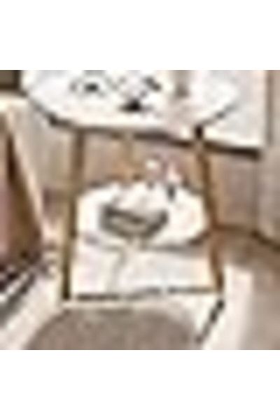 COOYA Circle Side Table,Sturdy and Easy Assembly,Double-deck Round Look Accent Furniture with Wood Frame