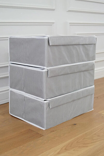 Tex Republic 2 Pieces Multi-Purpose Organizer Box with Lid Base Storage 50x40x19 Cm