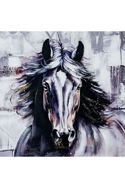 Danube Home Rabat Equine Horse Canvas Wall Art Majestic Horse Inspired Artwork Wall Decoration Arts 80X80X3Cm