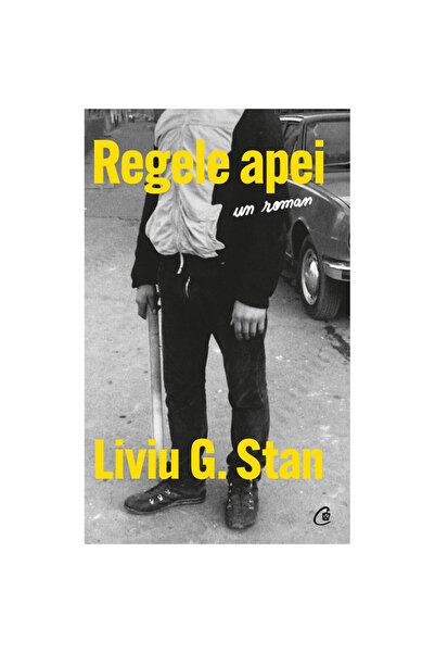 Curtea Veche Regele Apei - Liviu G. Stan
