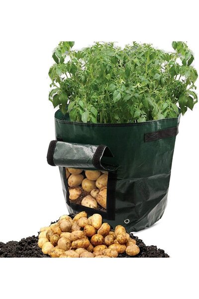 MaffStuff Sac Plantare Legume și Fructe 27x32cm 26.5L PVC cu Deschidere Later...