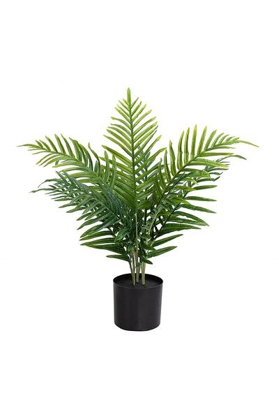 DESİGN Artificial Areca plant, Azay Design, with long green leaves and realistic details, H 70 cm