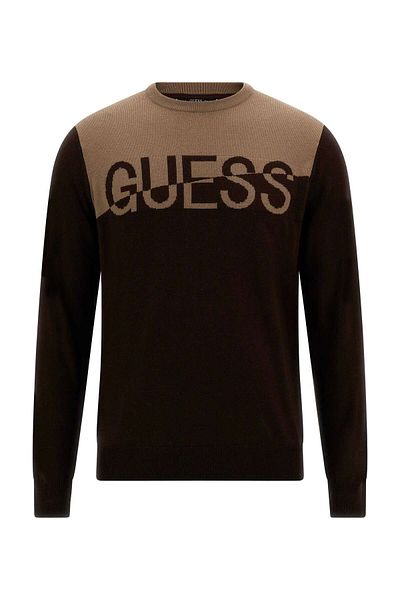 Guess ALEX LS CN LOGO SWEA